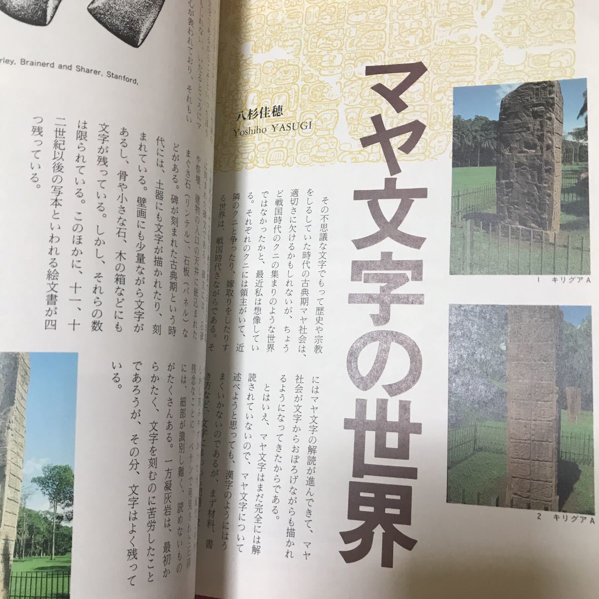 季刊　iichiko 1988年　No.9 特集・文字の文化学　象形・儀礼・使う　　エジプト古文字　マヤ文字　漢字の思考_画像10