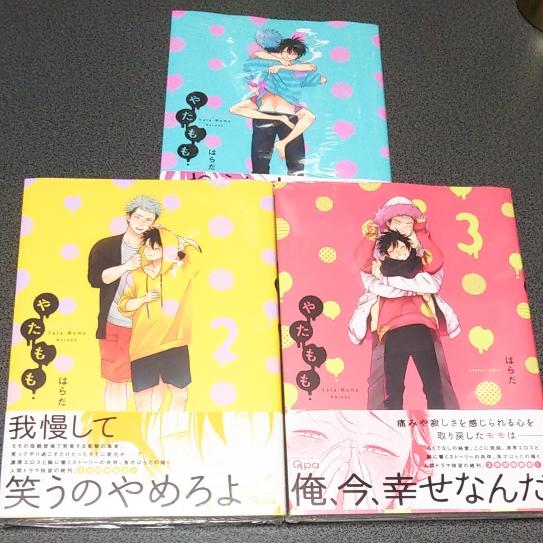 SALE/103%OFF】 はらだ 先生 BL漫画2冊セット カラーレシピ やまもも