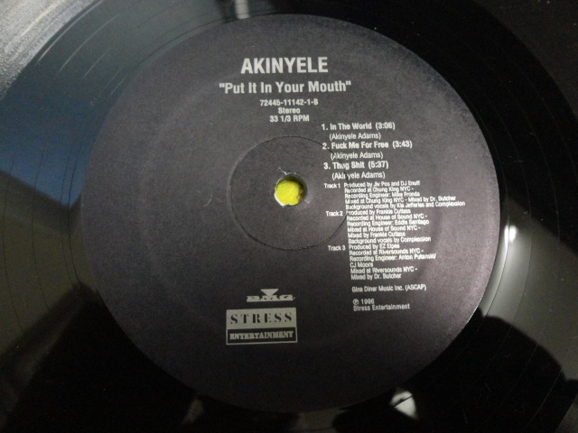 Akinyele - Put It In Your Mouth ほっこりメロディアス エロHIPHOP 12 90s CLASSIC 視聴_画像3