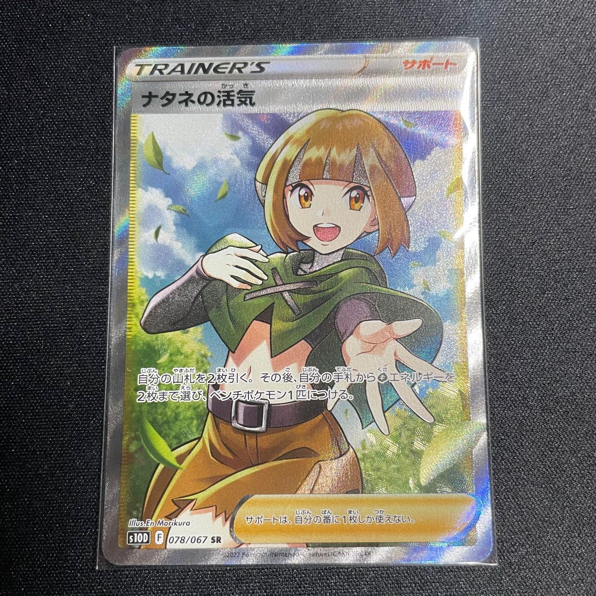 美品】ナタネの活気sr | mercedariasmisionerasperu.org