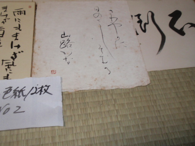 「模写」【色紙12枚組書のみ大量】まとめてＮＯ2　書家　俳句　和か　詩　一文字　等色々_画像7