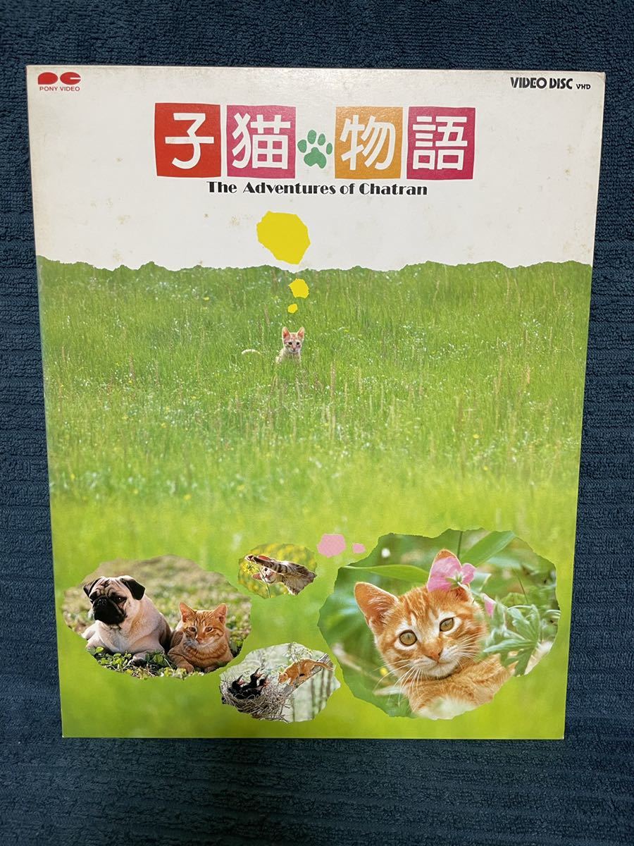 子猫物語DVD 畑正憲 坂本龍一