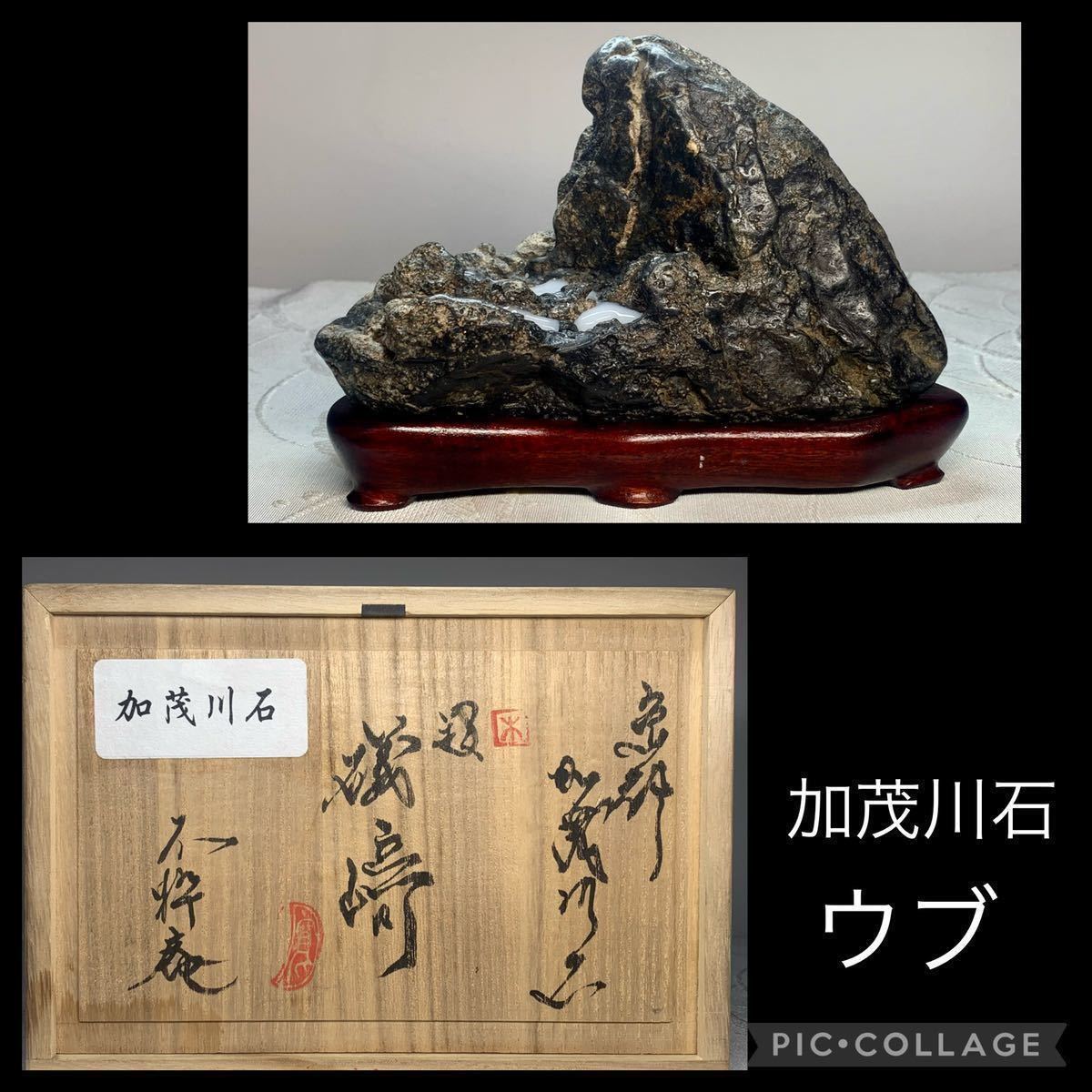 信濃美術石博物館】水石 盆栽 加茂川石 ウブ 『礒﨑』桐箱付 横17×高
