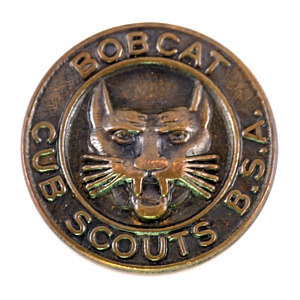  pin badge * Boy ska uto national flag Bobcat cat * France limitation pin z* rare . Vintage thing pin bachi
