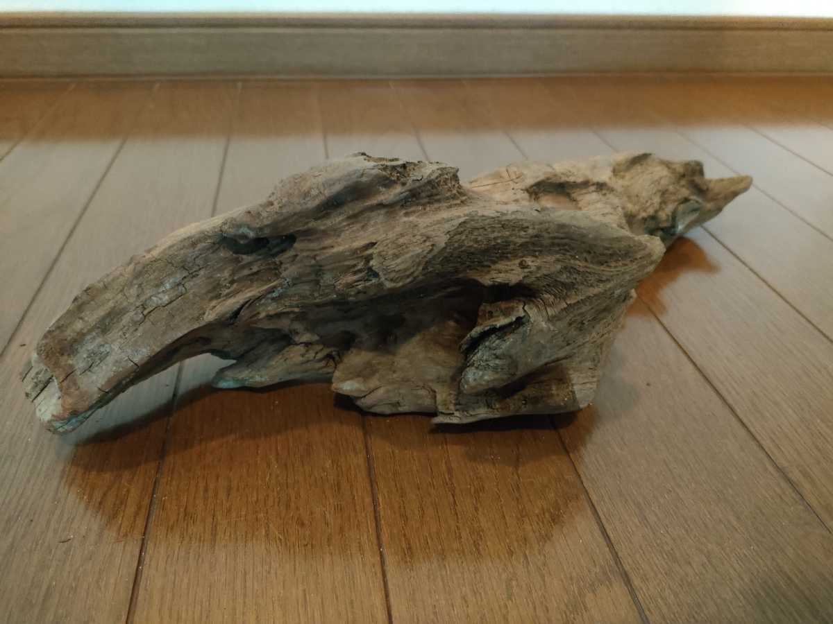 ☆天然流木　大和川　39×13×12cm 魚　めだか　爬虫類　ヘビ　とかげ　隠れ家　水槽 １点物 アート インテリア アクアリウム　ジオラマ_画像7