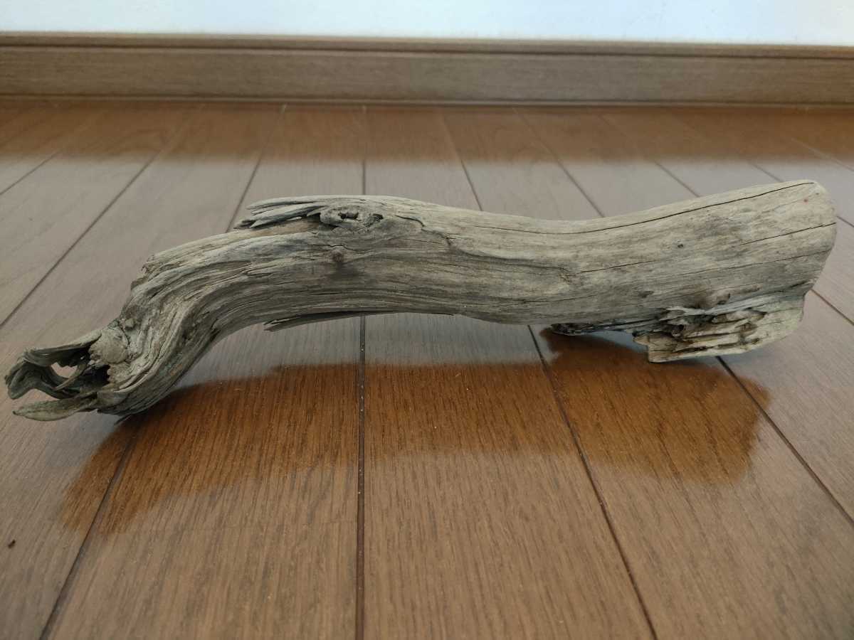 * natural driftwood aquarium 1 point thing aquarium objet d'art art 28×7.5×7.5cm Yamato river reptiles and . snake interior fish medaka .. house 