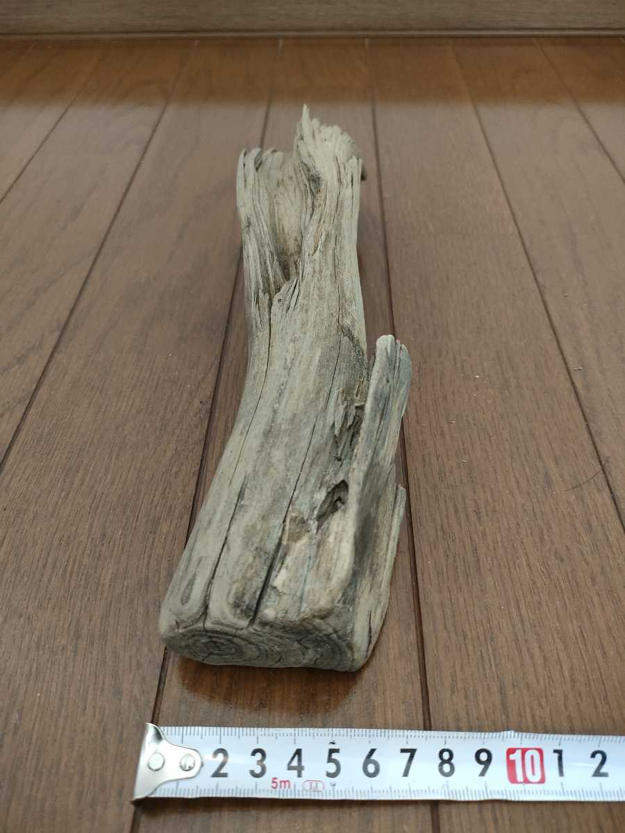 * natural driftwood aquarium 1 point thing aquarium objet d'art art 28×7.5×7.5cm Yamato river reptiles and . snake interior fish medaka .. house 