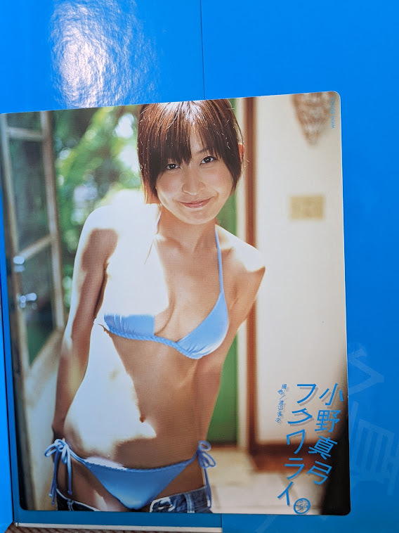 生写真付き