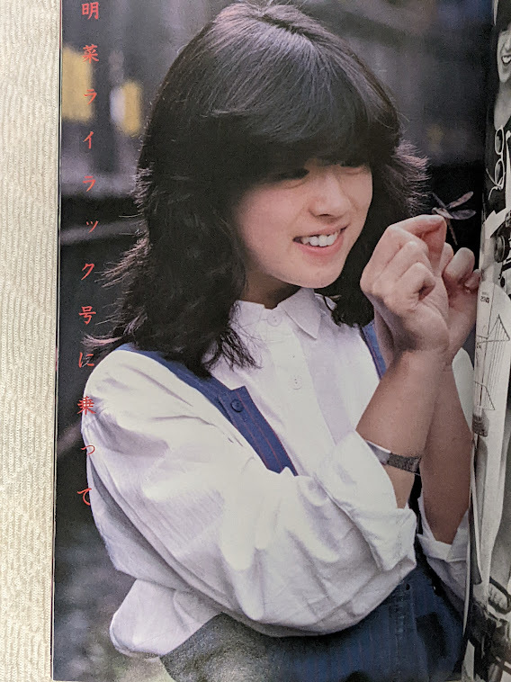 中森明菜写真集 近代映画増刊 1982年発行 おまけデラックス 中森明菜写真集 近代映画増刊 1982年発行 おまけデラックス