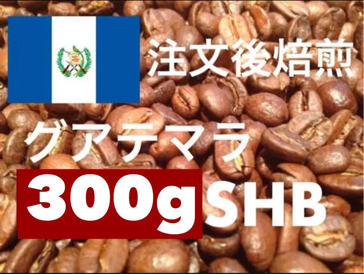 お金を節約 注文後焙煎 グァテマラSHB 300g ※即購入可 agapeeurope.org