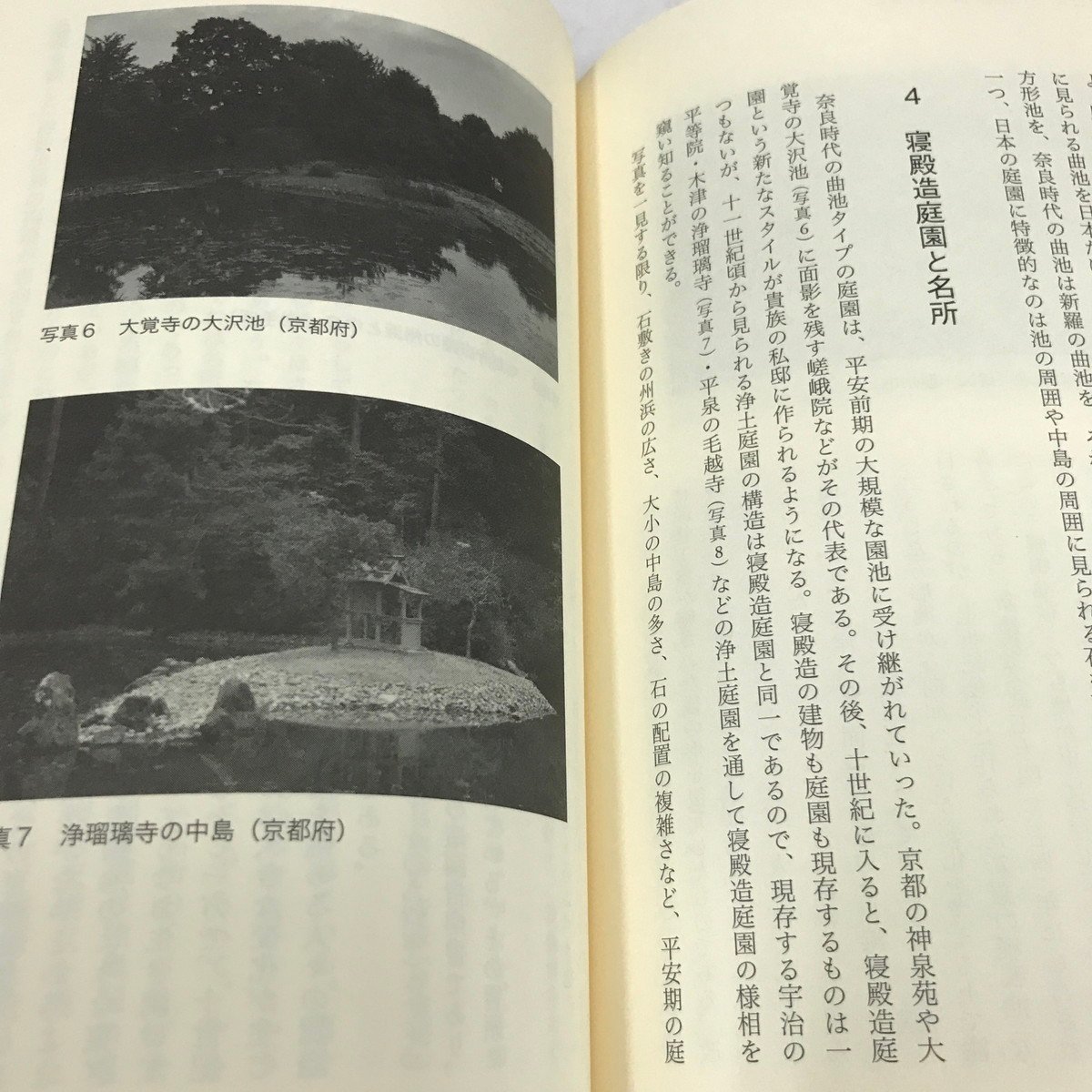 NA/L/翻訳とアダプテーションの倫理 ジャンルとメディアを越えて/編者：今野喜和人/2019年2月21日初版/春風社_画像6