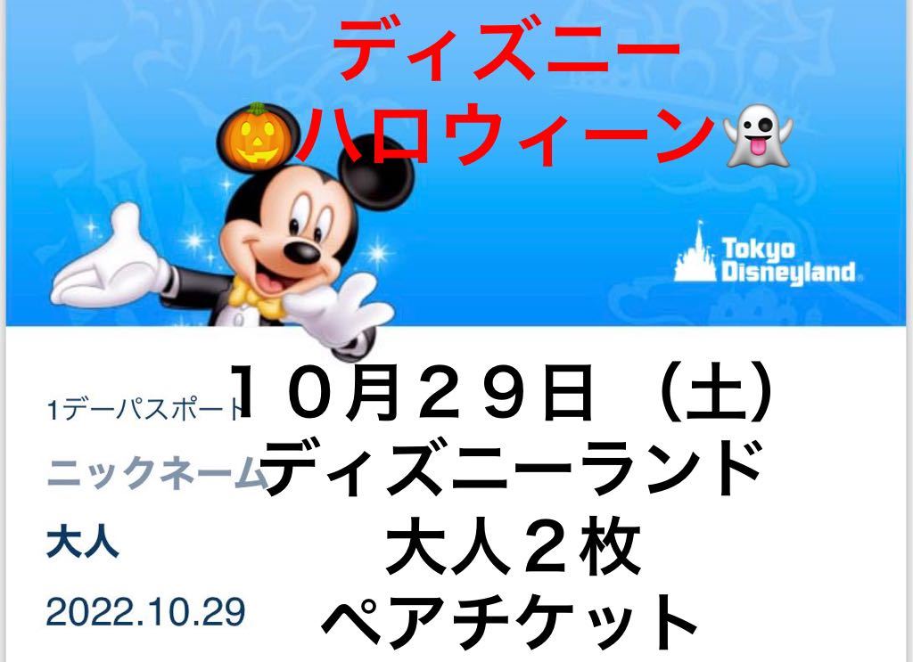 10/29 (土) ディズニーランド 大人２枚 ペアチケット 1デーパスポート 1day 東京ディズニーリゾート ディズニー チケット 10月29日  土曜日