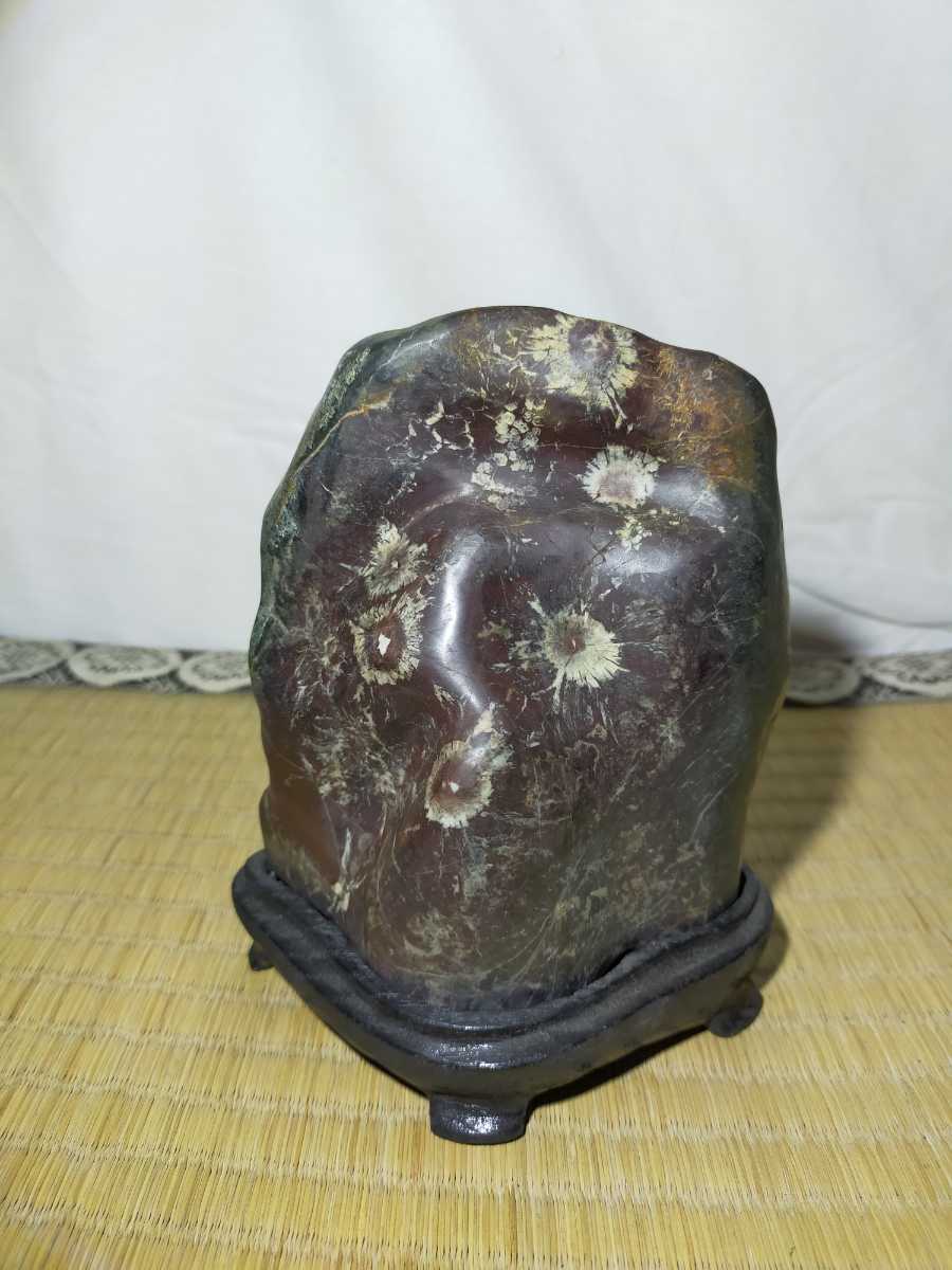 菊花石 大型 木彫台付 27.3kg 岐阜県根尾谷産 鑑賞石 盆栽石 天然石