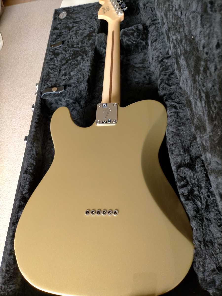 Fender Mexico Chris Shiflett Telecaster Deluxe フェンダーメキシコ