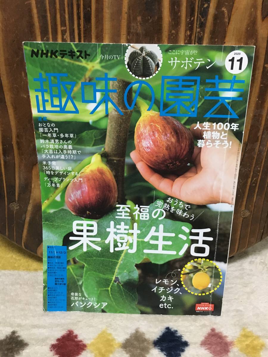 NHK text hobby. gardening 2020 year 11 month number [ magazine ]