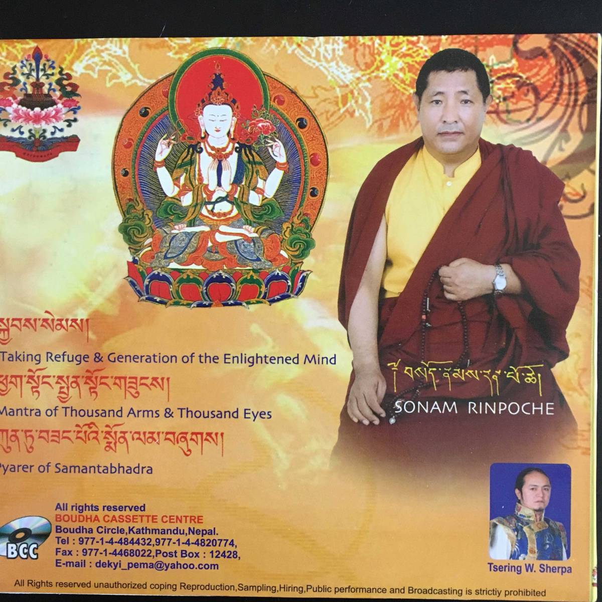 注目のブランド ヨガ 瞑想 ヒーリング チベット仏教 Ani Tsering Wangmo learnrealjapanese.com