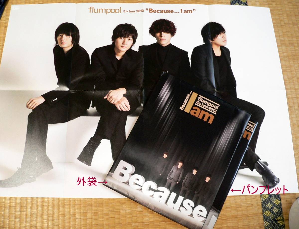 フランプール Flumpool 12年 ツアーパンフレット Bigポスター付き 亜人 夜は眠れるかい 山村隆太 Dejapan Bid And Buy Japan With 0 Commission