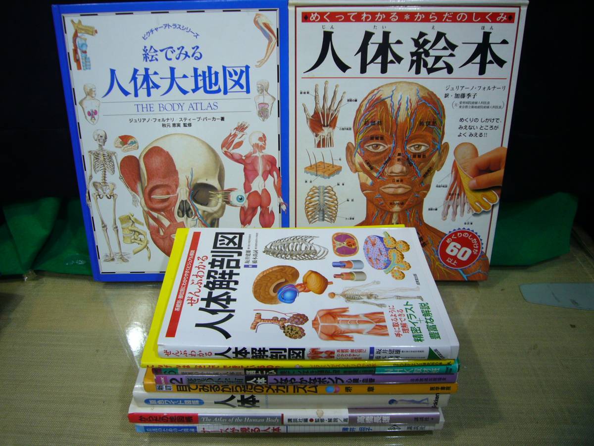 ARS書店『人体解剖図』『からだ探検』約28冊『目でみるからだのメカニズム』『原色ワイド図鑑人体/ナースが視る人体/からだの地図帳