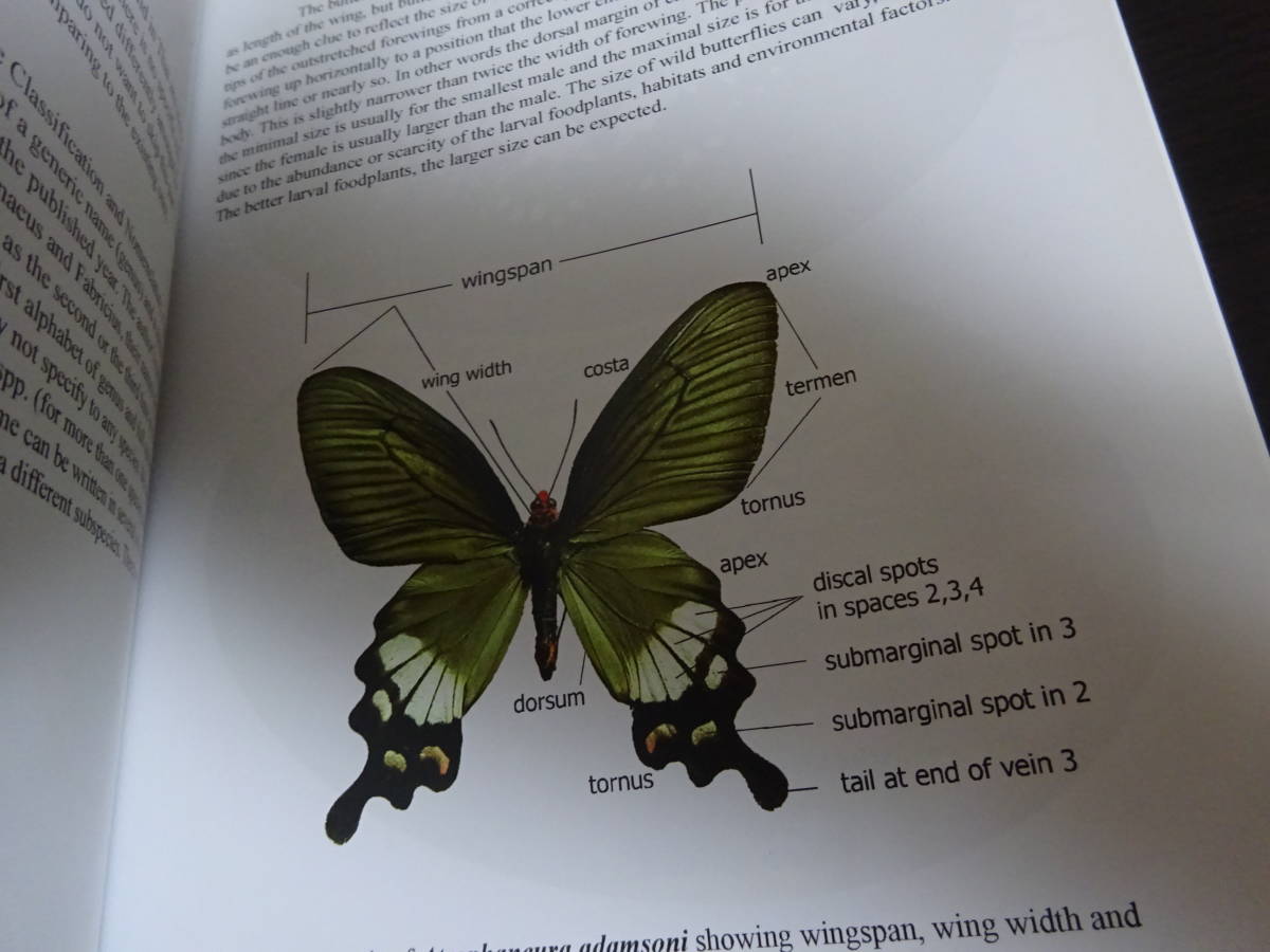 BUTTERFLIES OF THAILAND butterfly ...... illustrated reference book 