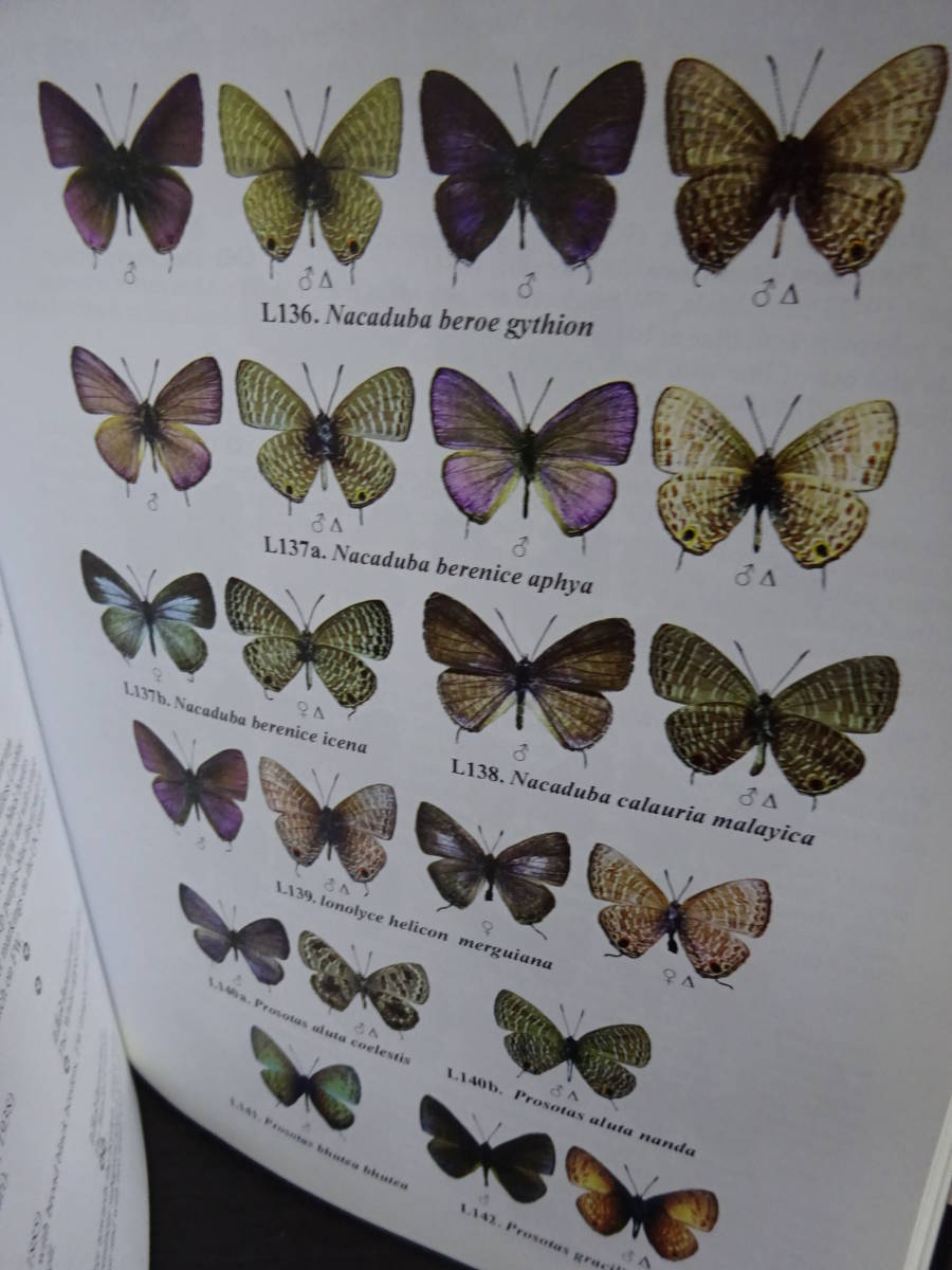 BUTTERFLIES OF THAILAND butterfly ...... illustrated reference book 