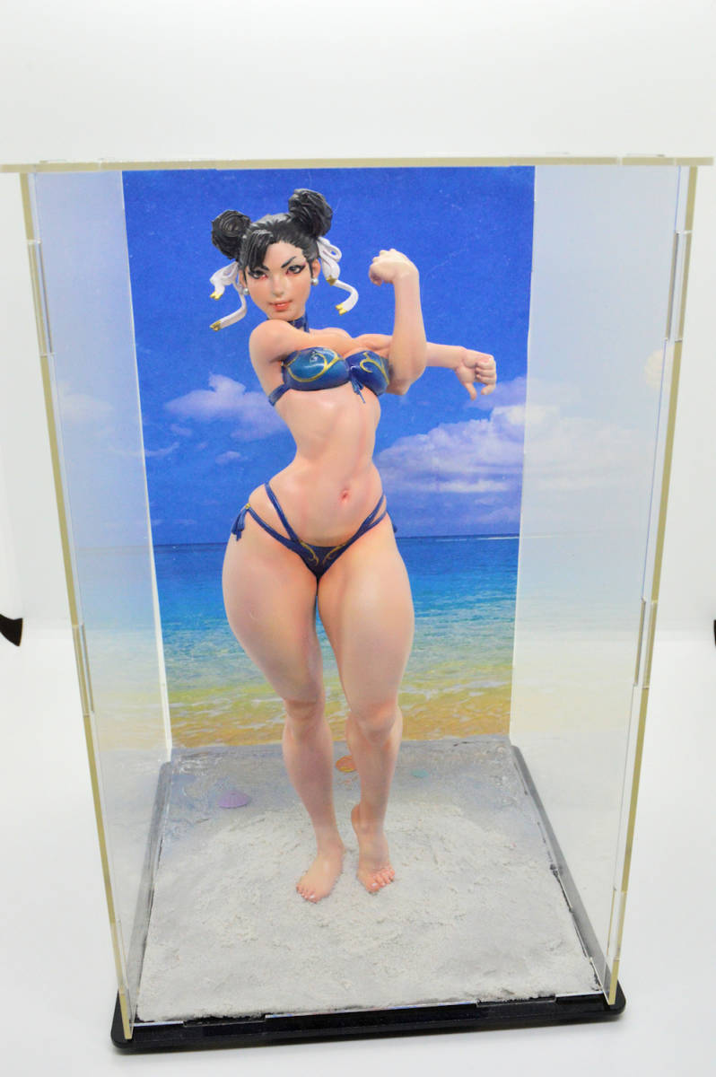 塗装済み完成品 ガレージキット ストリートファイター 塗装済み完成品 ガレージキット ストリートファイター