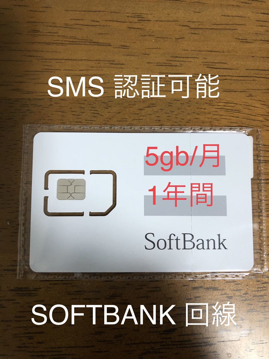 SoftBank プリペイドSIMカード 毎月5GB SMS受信可 ic.sch.id