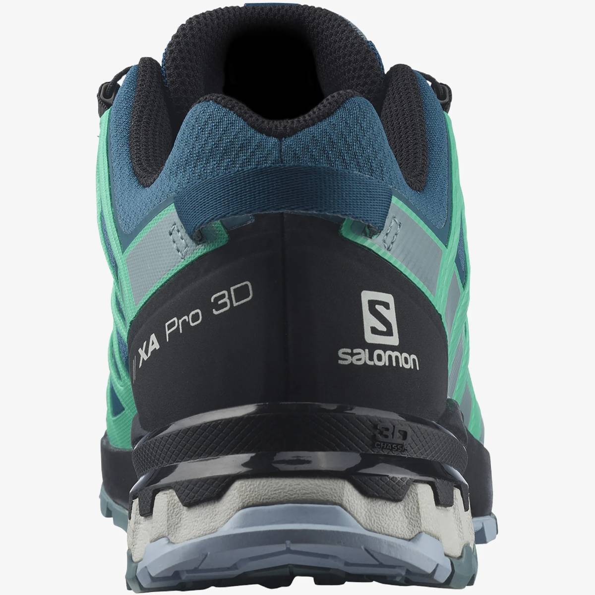  high King Gore-Tex [SALOMON Salomon /W\'s XA PRO 3D V8 GORE-TEX/L41629600/24.0cm]mtr foot 