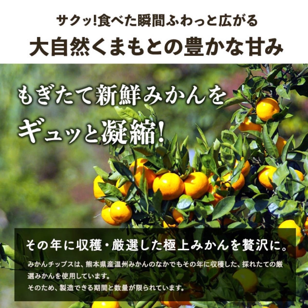 新品 国産 ドライフルーツ みかんチップス 無添加 砂糖不使用 栄養 訳あり 30g 送料無料 即日発送