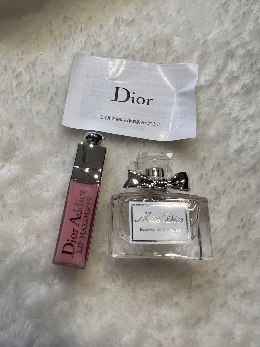 Dior ディオール クリスマスオファー 2022限定ノベルティ ポーチ Dior ディオール クリスマスオファー 2022限定ノベルティ ポーチ
