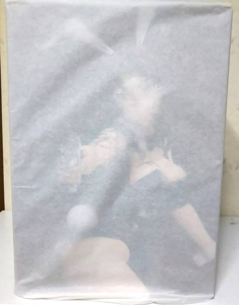 BLACK LAGOON レヴィ 生足バニーVer. 1/4スケール プラスチック製 塗装