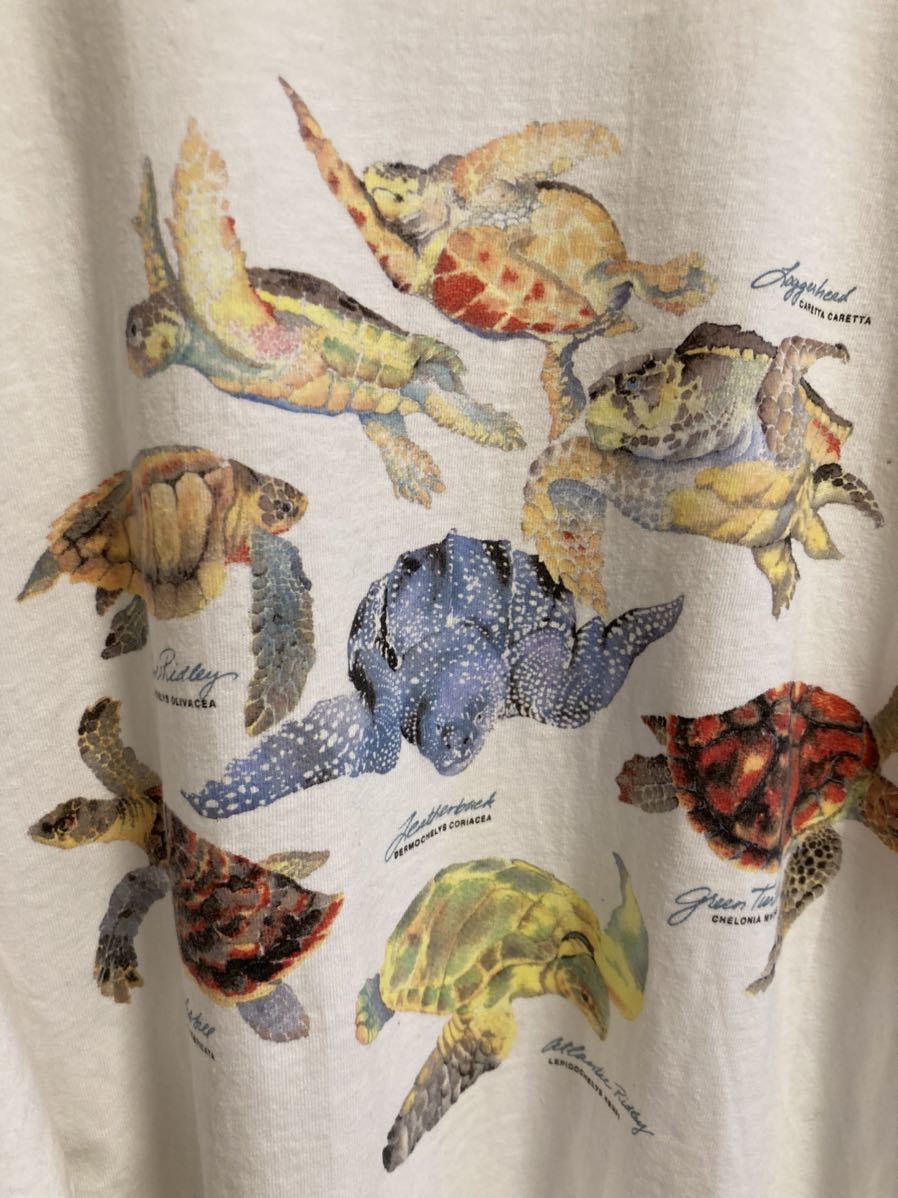 極美品 パタゴニア シータートル 亀 半袖Tシャツ USA 白タグ 80s 90s ゼンタートルビッグTシャツ スナップT_画像6