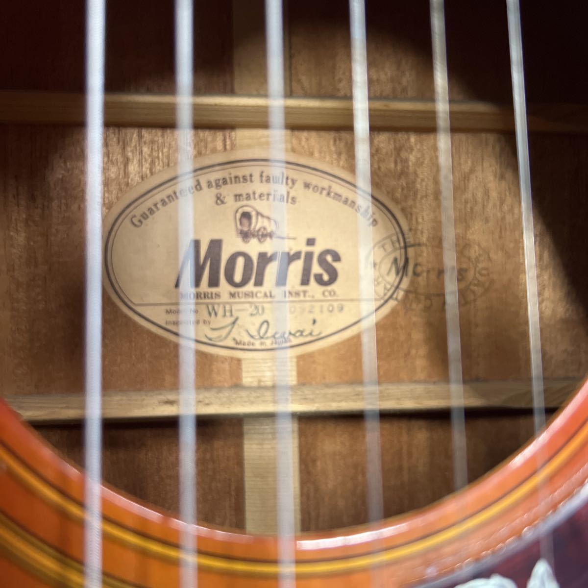 Morris WH-20 Acoustic Guitar アコースティックギター 大特価品
