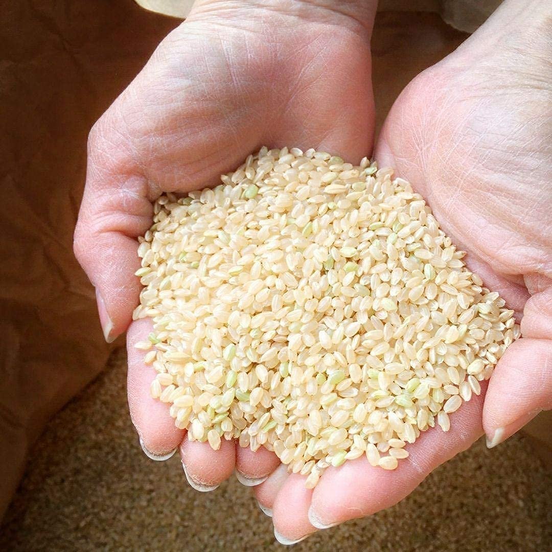 白米】 新米 令和4年産 埼玉県産 コシヒカリ 白米 27kg 美味しいお米 玄米 30kg を精米してお送り致します! 美味しいお米 令和4年 埼玉県産 コシヒカリ 白米 10kg 送料無料