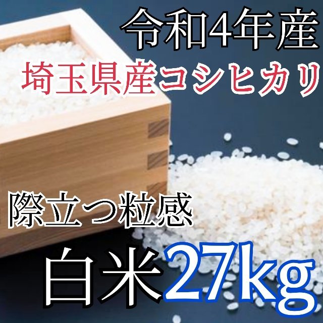 白米　20kg コシヒカリ　新米　埼玉県産　令和5年産　送料無料　米　20キロ