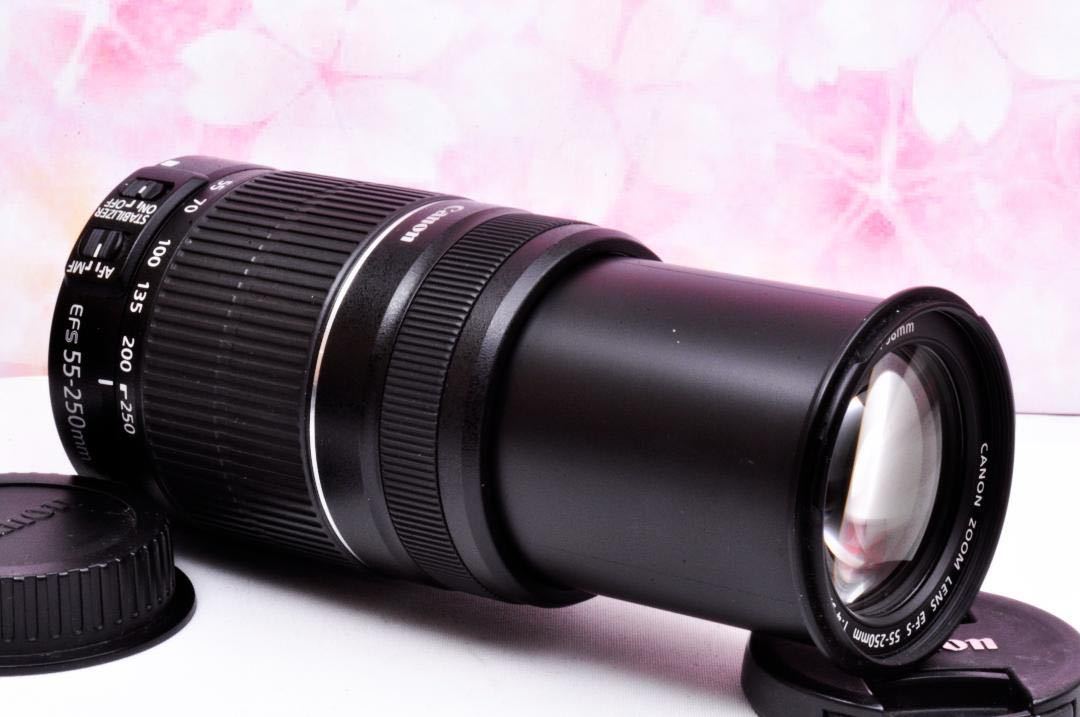 超望遠Canon EF-S 55-250mm IS手振れ補正 | www.galicbinamada.com