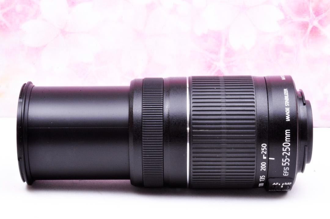 超望遠Canon EF-S 55-250mm IS手振れ補正 | www.galicbinamada.com
