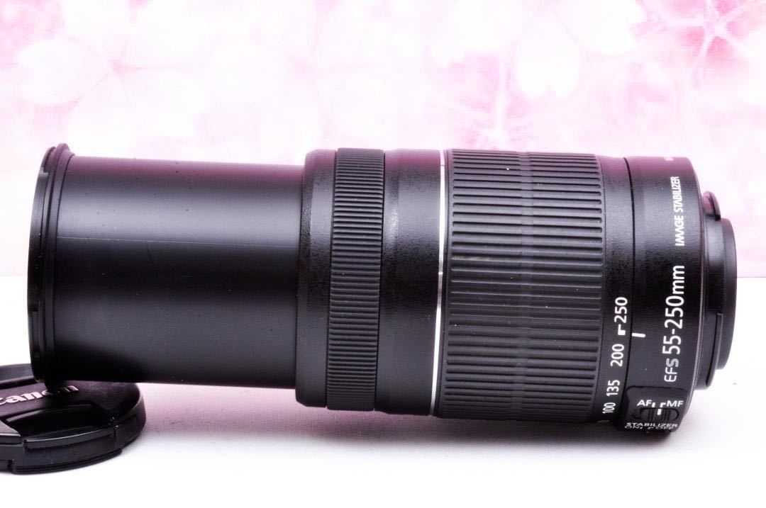 超望遠Canon EF-S 55-250mm IS手振れ補正 | www.galicbinamada.com