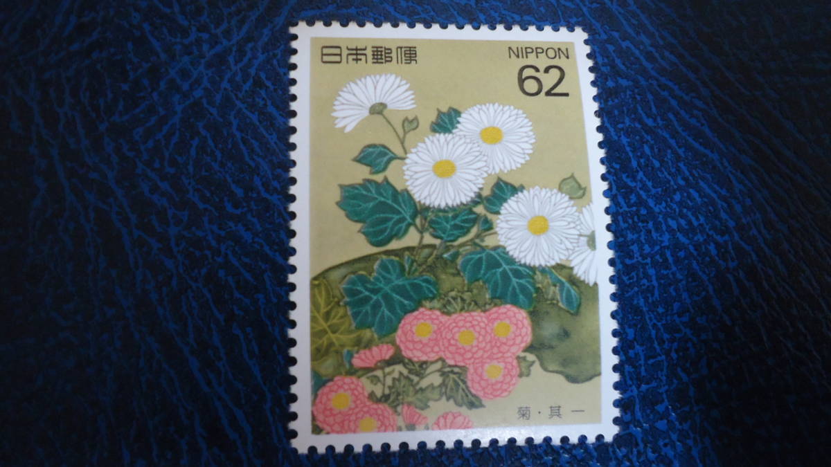 四季の花シリーズ 菊の画像1