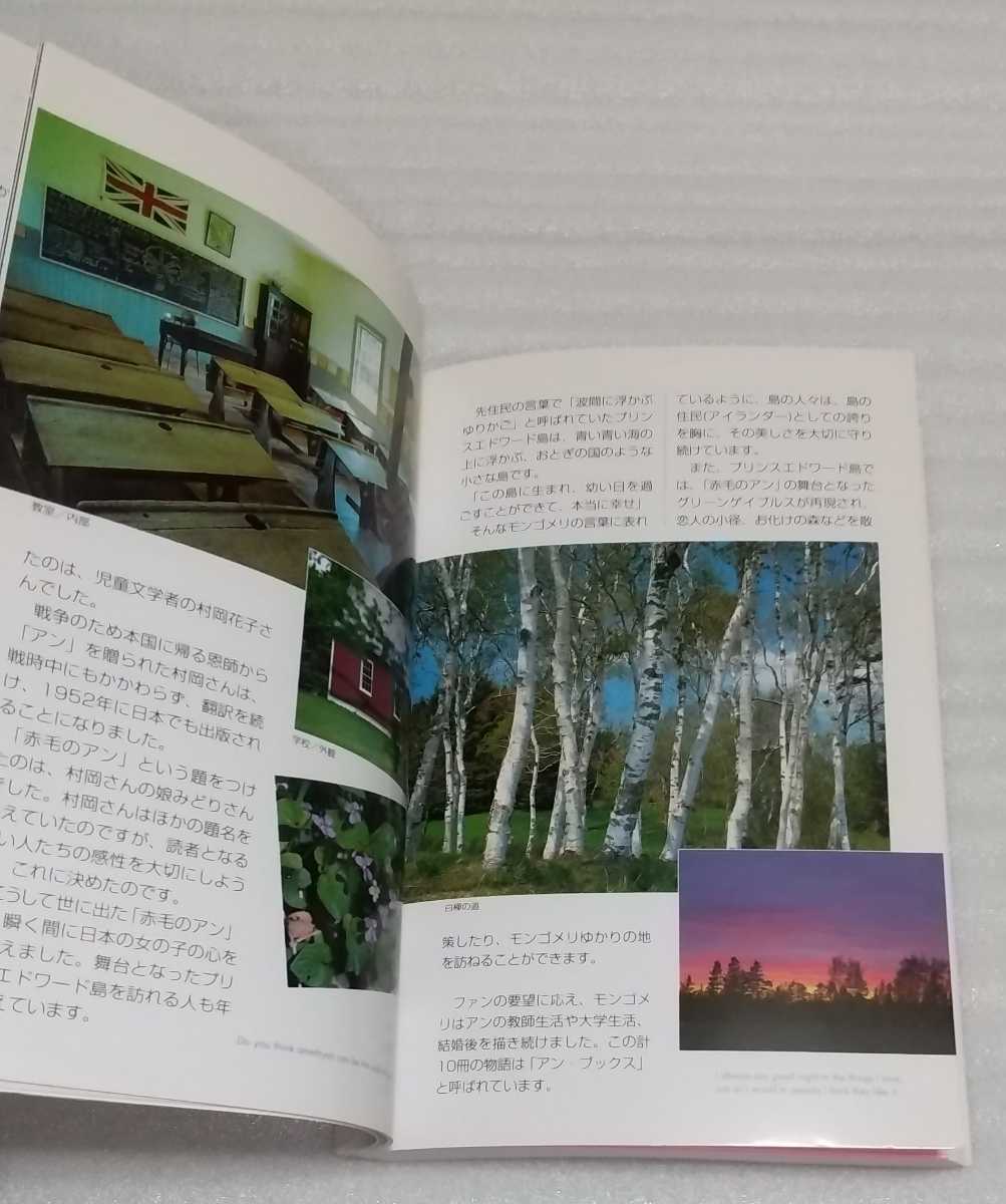 赤毛のアンのおしゃべり英語レッスン 9784860631680 プリンスエドワード島の四季を楽しむ写真集付 教科書の言葉も参考書の表現もつまらない_※使用感も無い方かと思います。