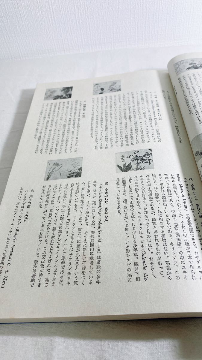 四季の花 復刻版 全10冊+解説 酒井抱一 | noonanwaste.com