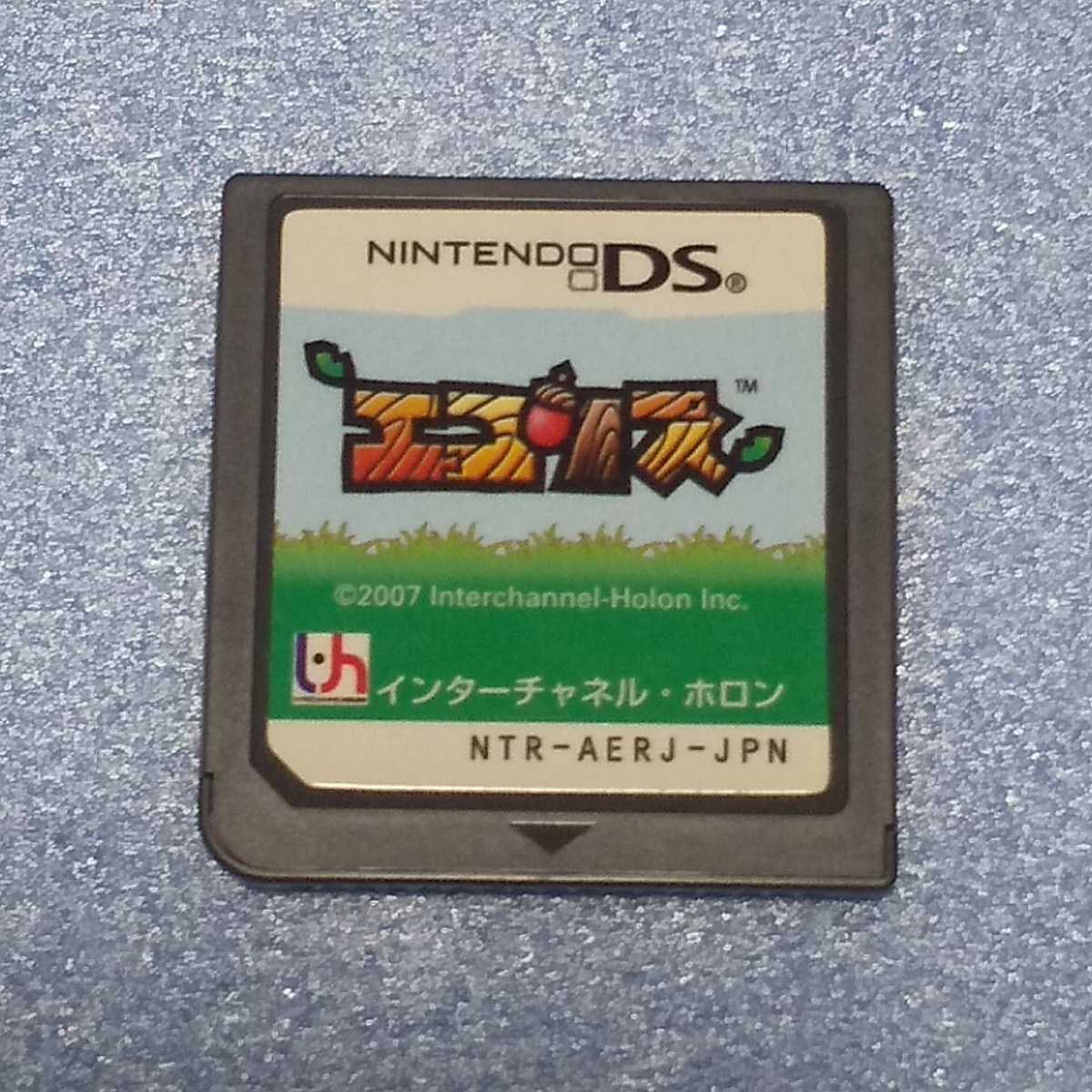 Nintendo DS エコリス【管理】2210220