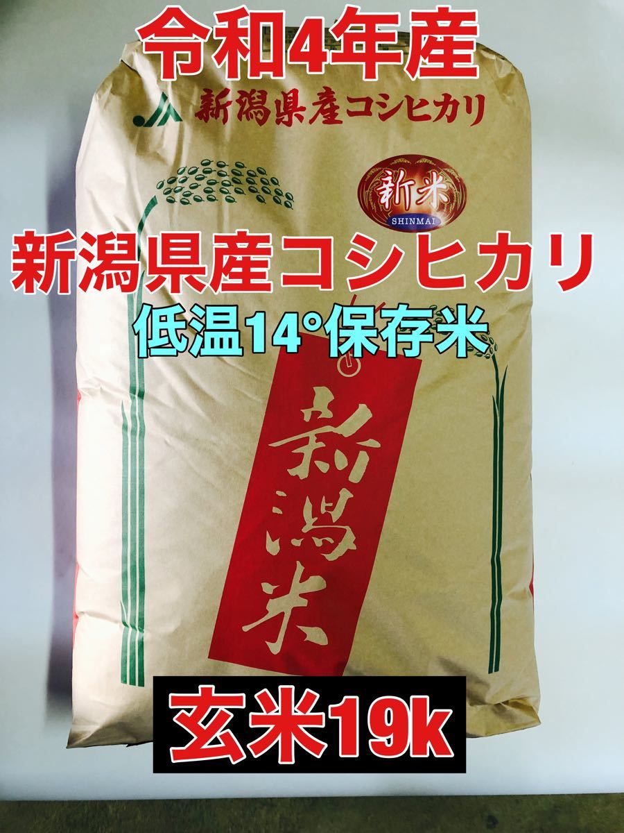 令和4年!新潟県産コシヒカリ(玄米)19k 低温14°保存 - apsmo.edu.au 令和4年!新潟県産コシヒカリ(玄米)19k 低温14°保存 - apsmo.edu.au