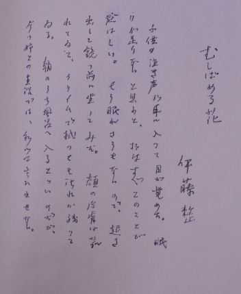 希少 昭和 伊藤 整 集 いとう せい 現代文学大系 49 小説家 20221003 kskusk 202 0926_画像4