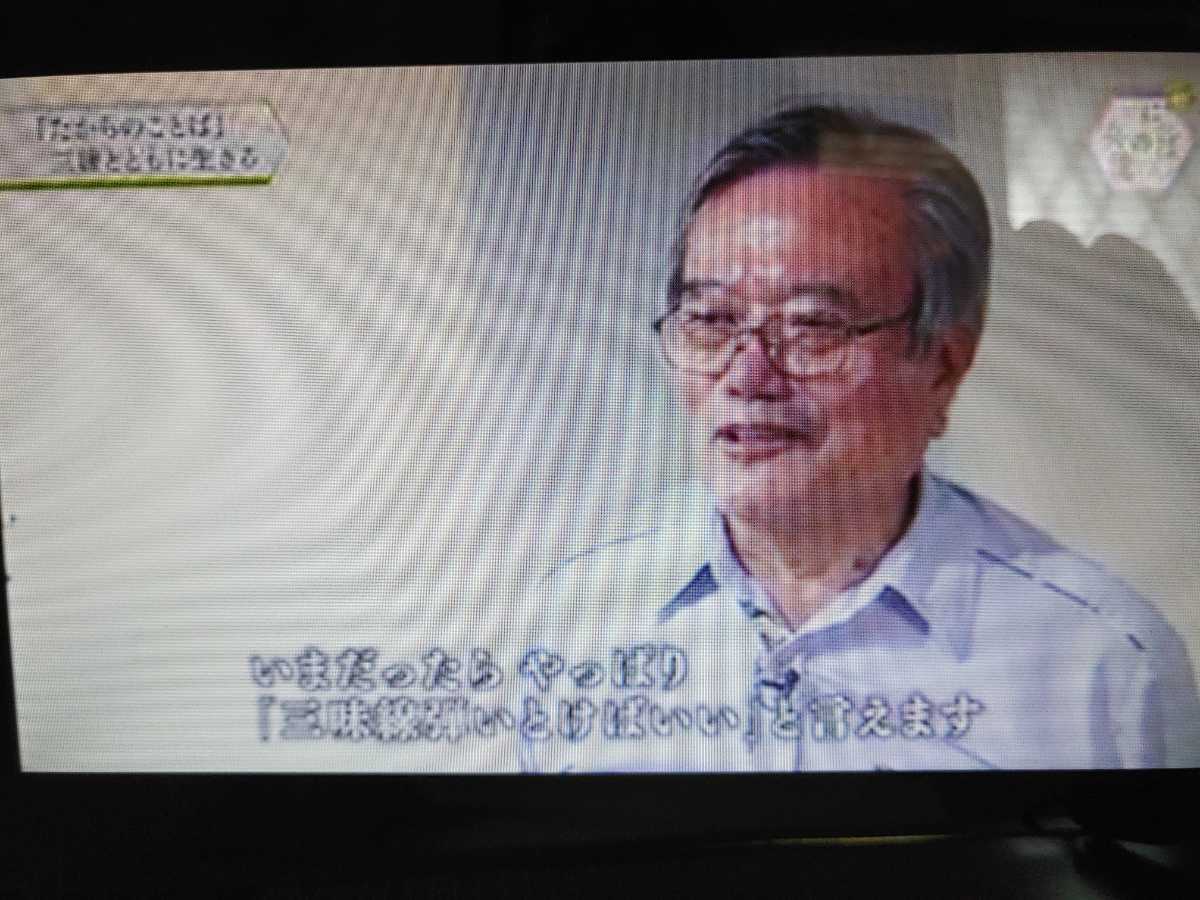 SoftBank フォトビジョン TV 202HW HUAWEI デジタルフォトフレーム ソフトバンク ホワイト テレビ_起動、受信確認済み