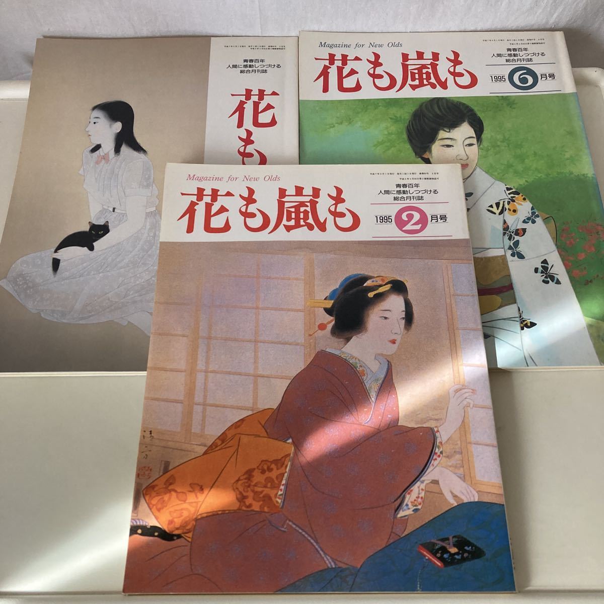 ※◇送料無料◇ 花も嵐も 1995年2月号と5月号、6月号 3冊 美空ひばり 二葉亭四迷 森鴎外 夏目漱石 芥川龍之介 志賀直哉 ♪G2の画像1