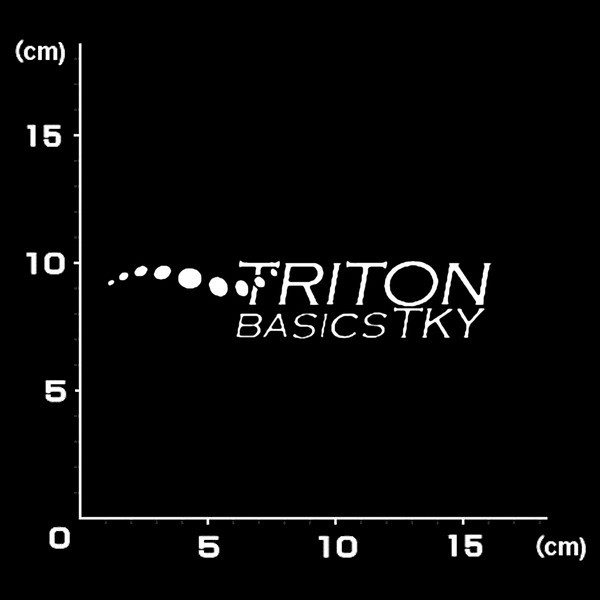 送料無料★0130★Triton トライトン★スノーボード★スノボー★SNOWBOARD★ステッカー_画像1