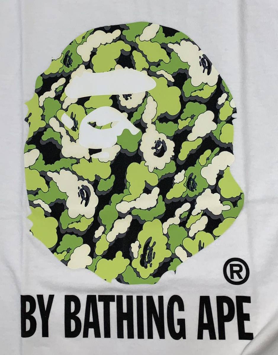 トップシークレット BAPE KAWS Tシャツ 未使用 稀少 カモフラ | www