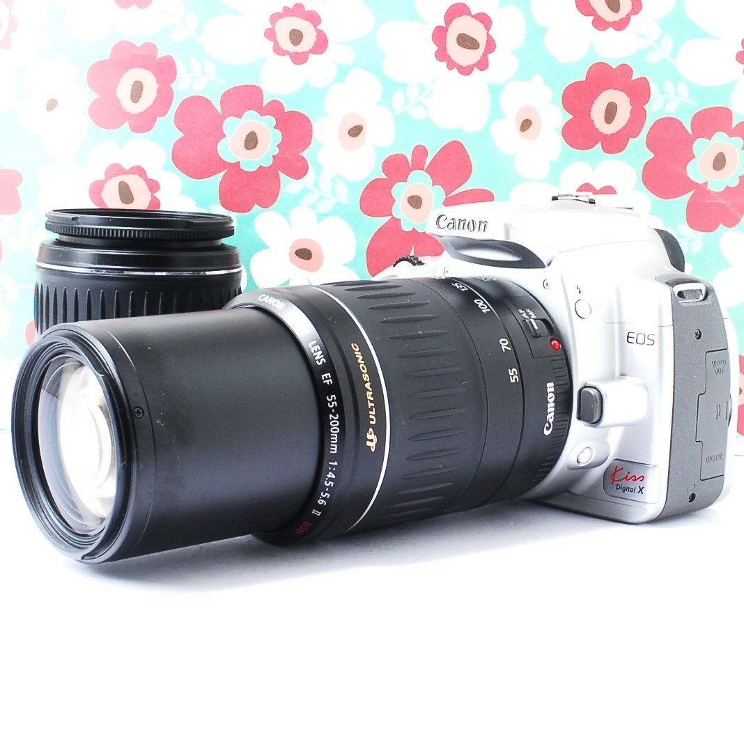 Canon EOS Kiss Digital X デジタル一眼レフ+望遠レンズ   monsterdog