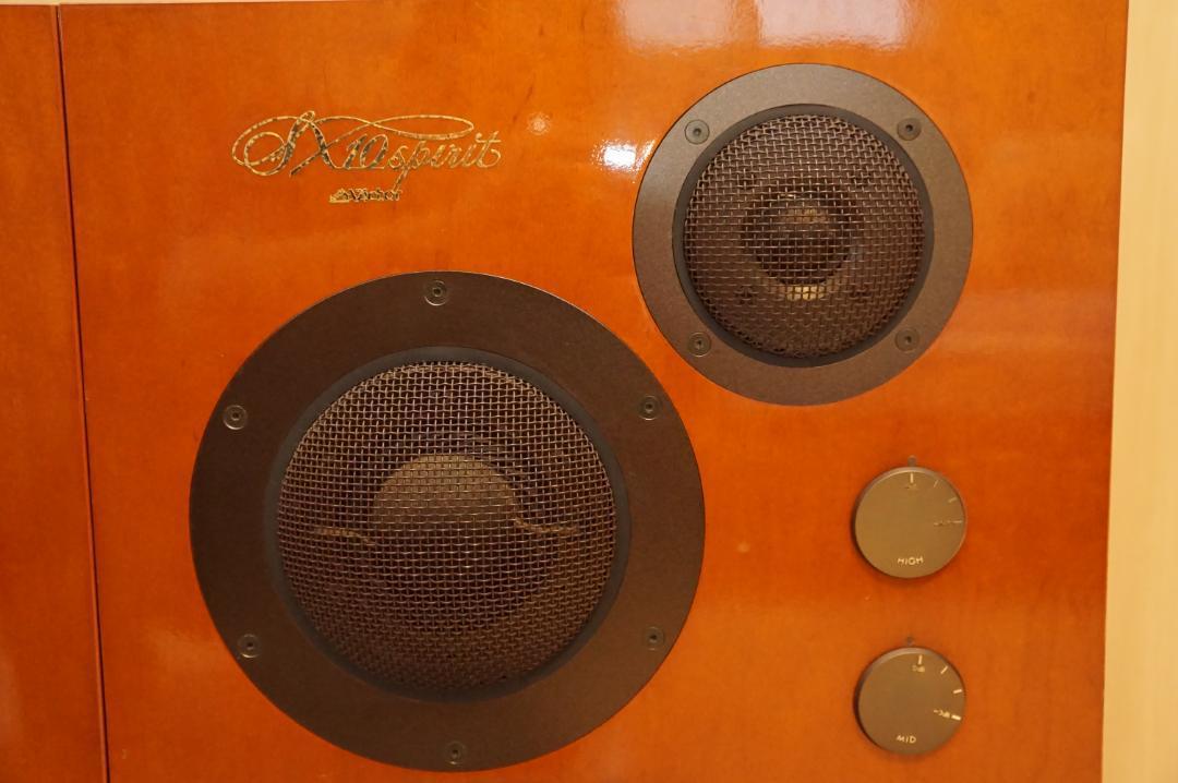 《希少》VICTOR SX-10 SPIRIT_画像4