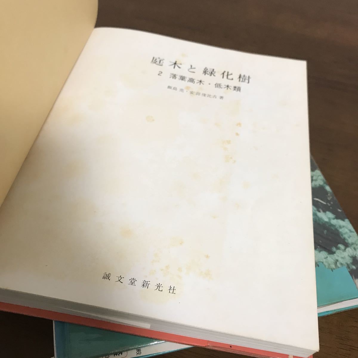 古書 2冊 セット●庭木と緑化樹１ 針葉樹・常緑高木 / ２ 落葉高木・低木類 / 飯島 亮 /誠文堂新光社/経年劣化あり●Ａ949_画像9